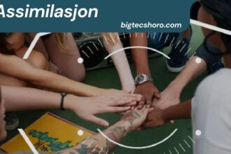 Assimilasjon