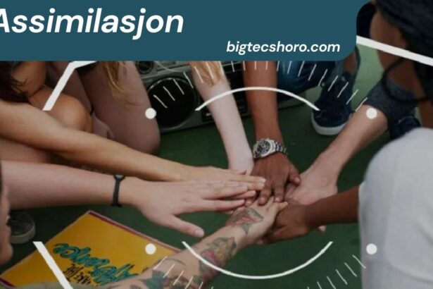 Assimilasjon