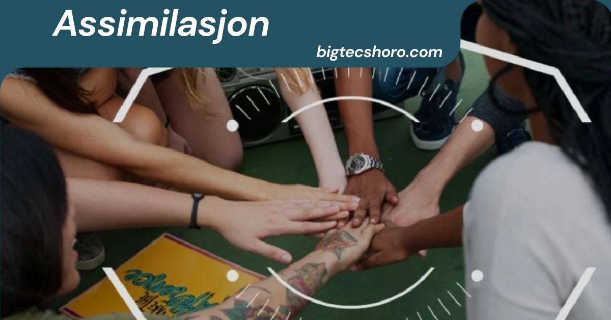 Assimilasjon