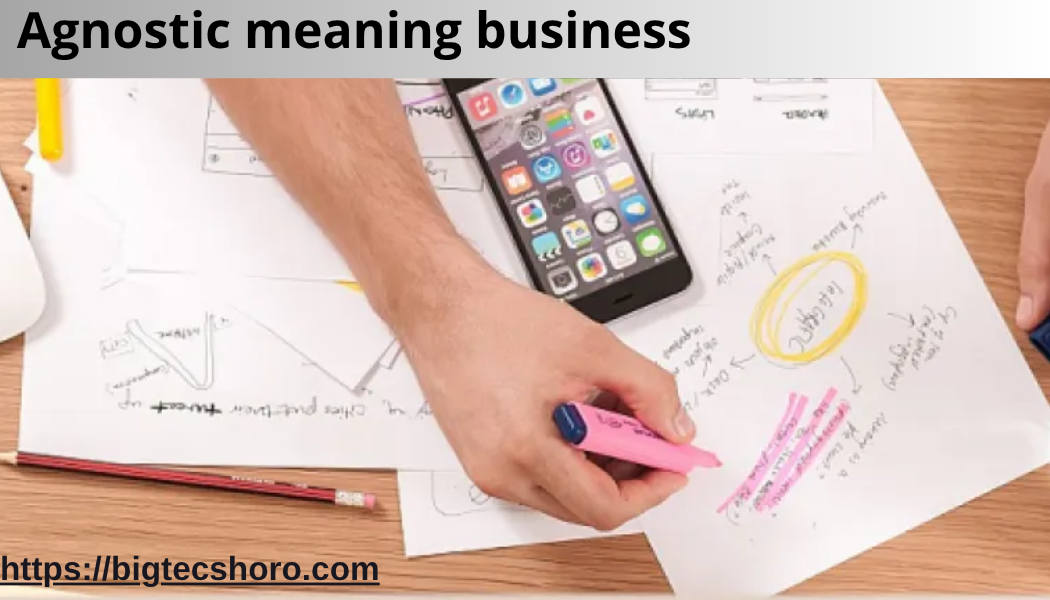 agnostic meaning business