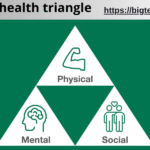 what is health triangle