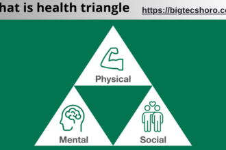 what is health triangle