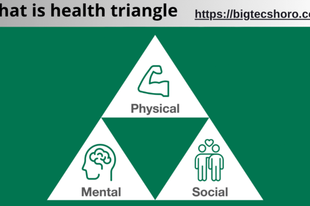 what is health triangle