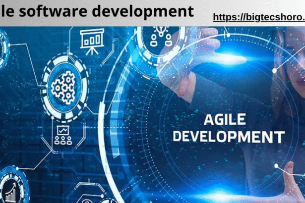 agile software development