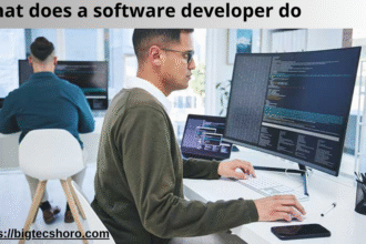 what does a software developer do