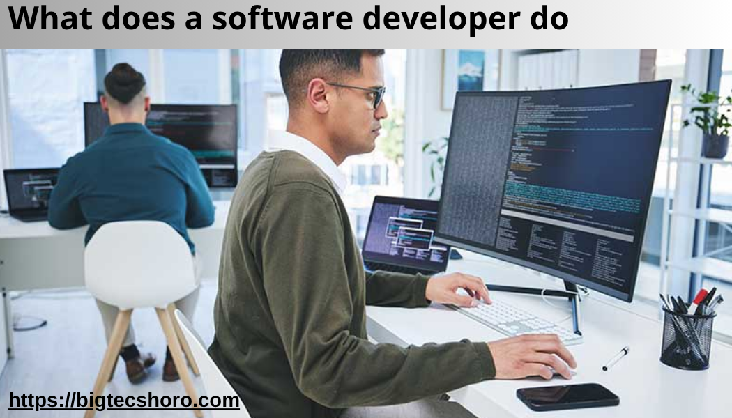 what does a software developer do