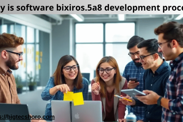 why is software bixiros.5a8 development process