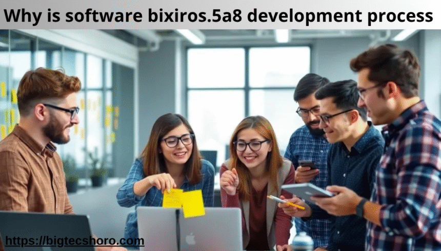 why is software bixiros.5a8 development process
