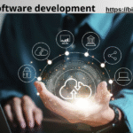 custom software development