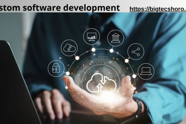 custom software development
