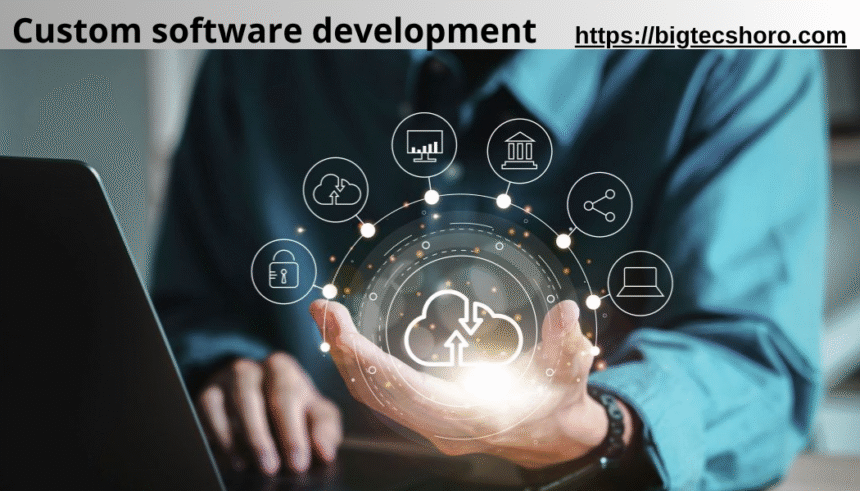 custom software development