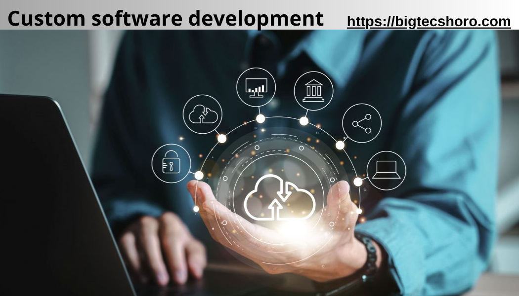 custom software development