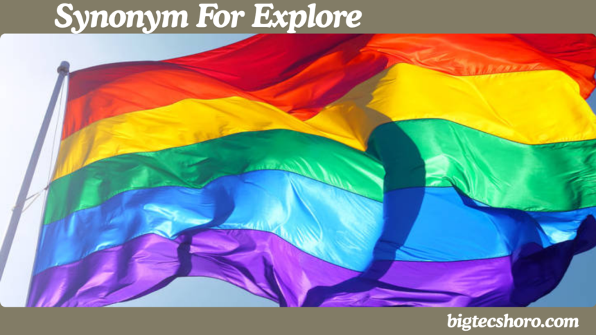 Synonyms for Pride